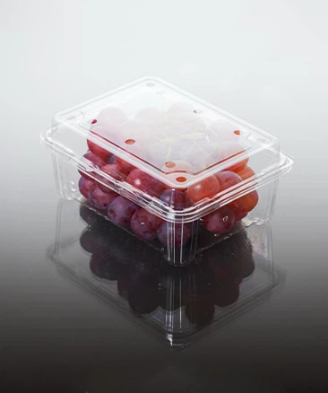 Fruit Clamshells Fruit Clamshells
