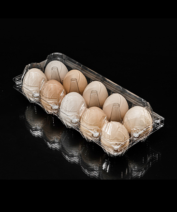 Egg Trays Egg Trays