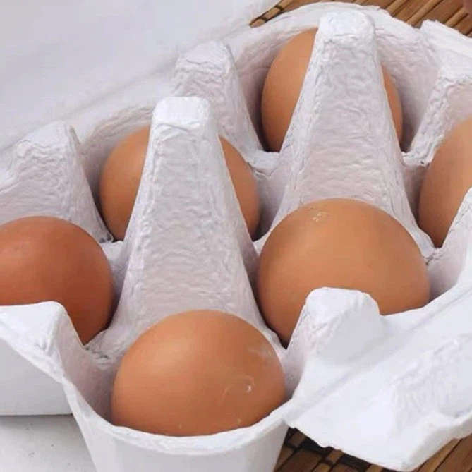 6 Pack Egg Cartons