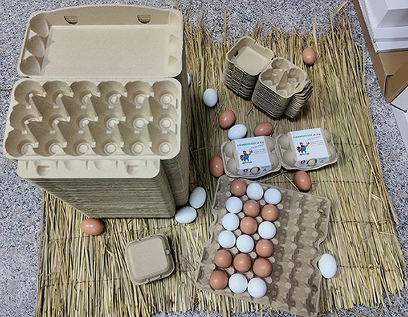 straw pulp egg carton 01 straw pulp egg carton 01