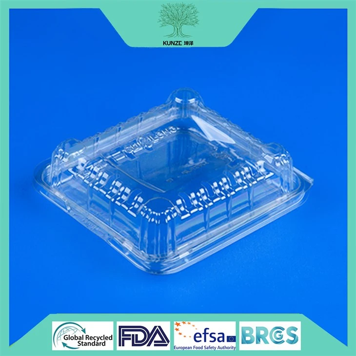 Blueberry Clamshell Packaging