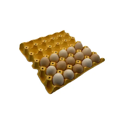 Hambwrdd cardbord wy