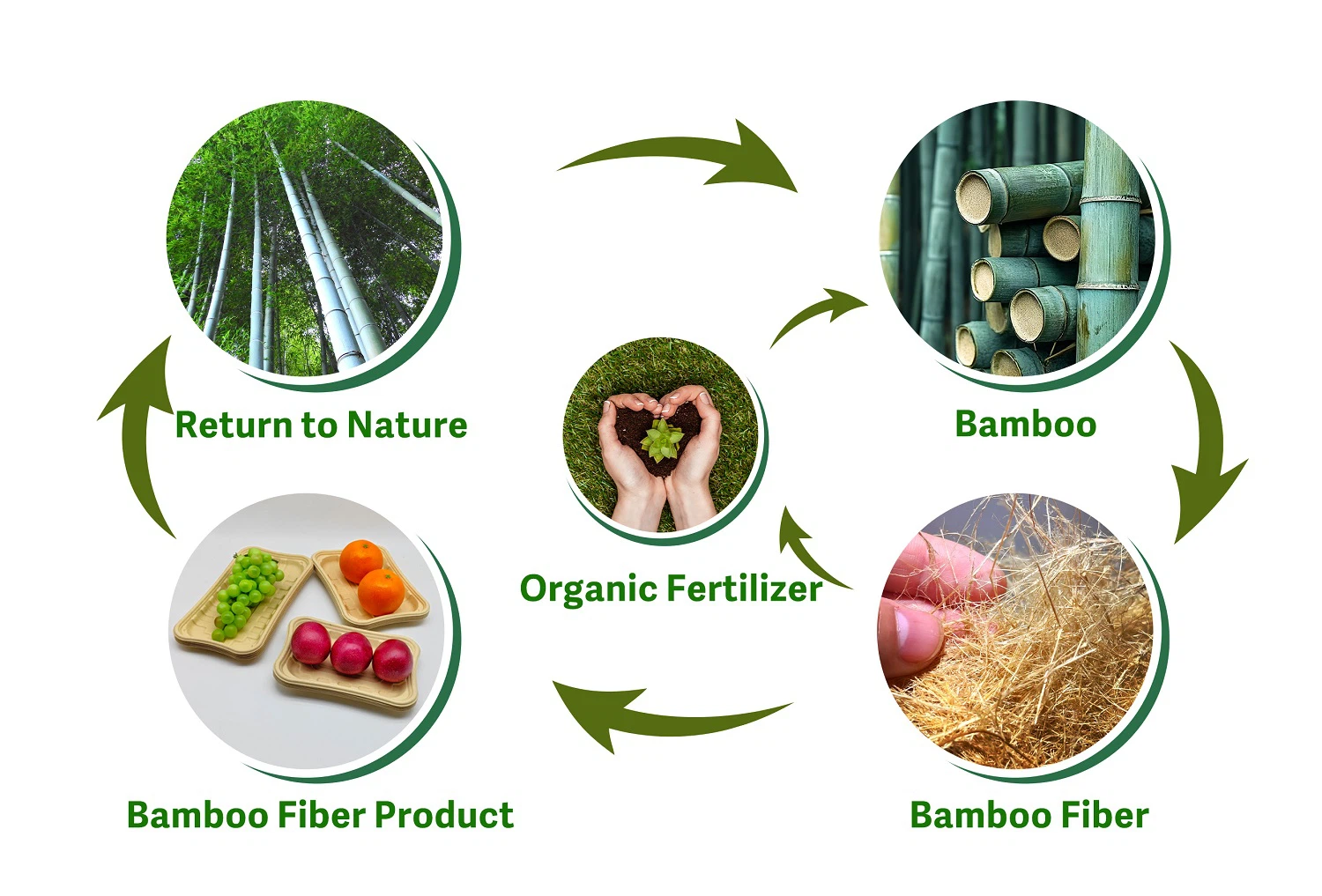 return to nature return to nature